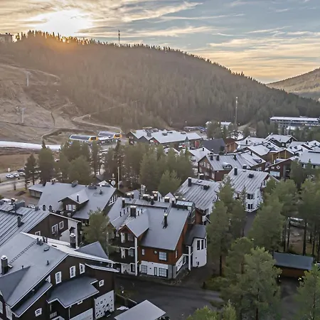 Levillas Karhunvartija 9 Levi